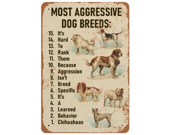 Are Chihuahuas Aggressive? Behavior Guide