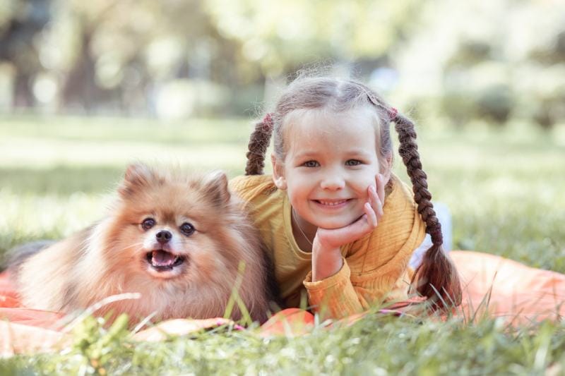 Are Pomeranians Good With Kids? A Parent's Guide