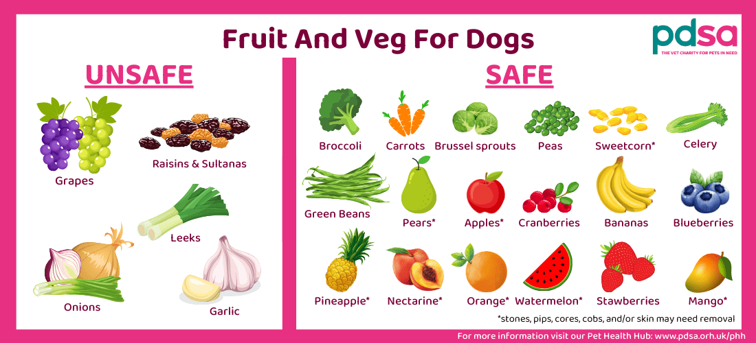 Can Beagles Eat Blueberries? Healthy Snack Guide