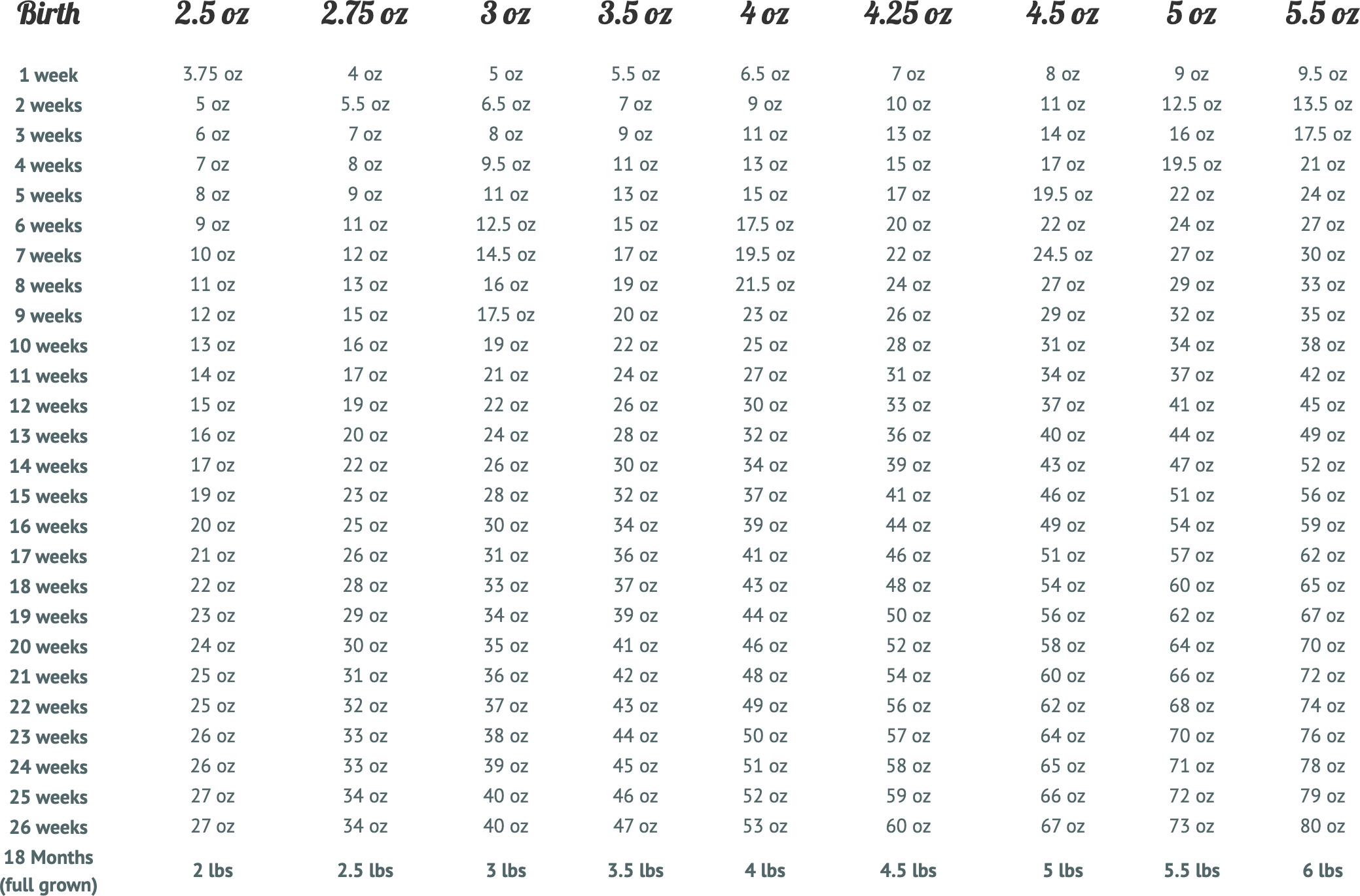 Chihuahua Size: Complete Growth Guide