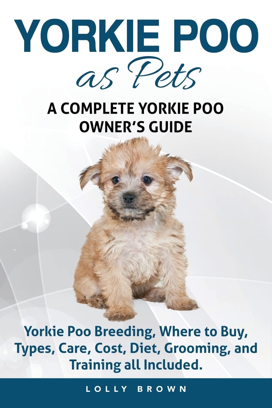 Do Yorkie Poos Bark a Lot? Behavior Guide