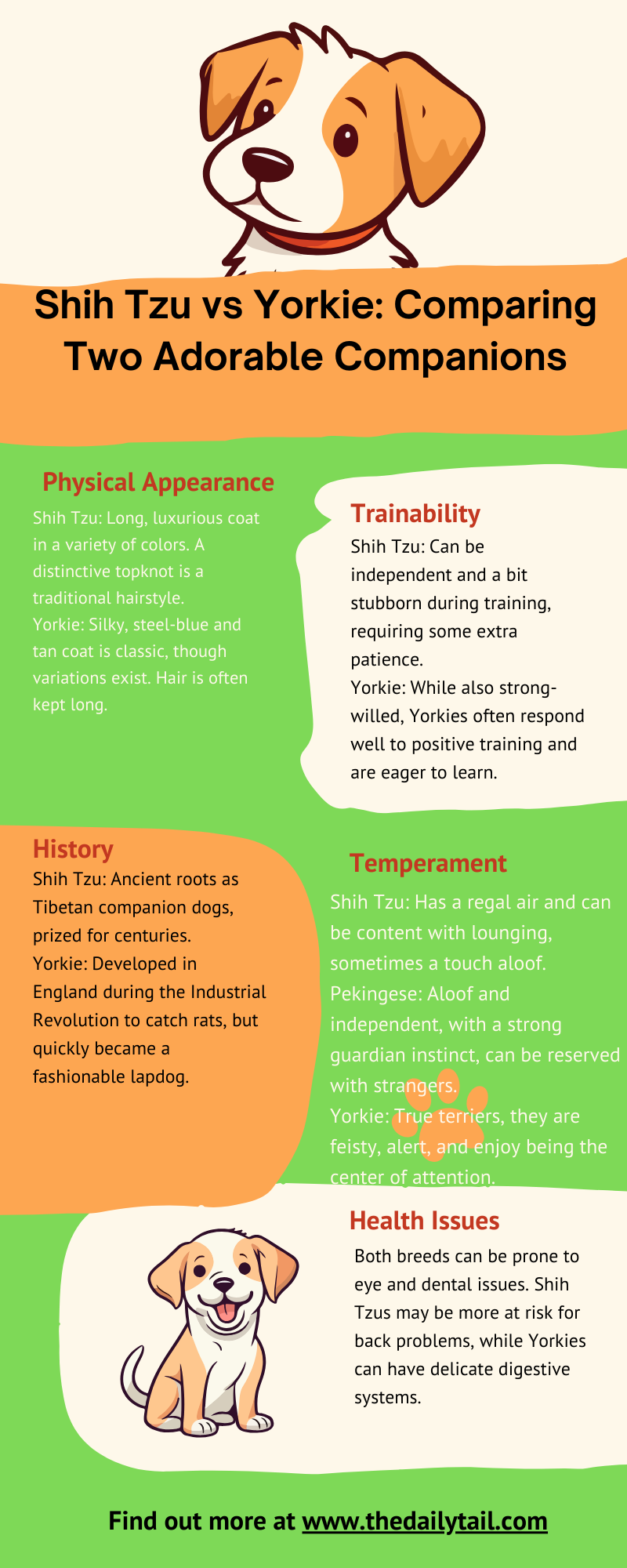 Shih Tzu vs Yorkie: Breed Comparison Guide